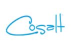 Cosalt Logo